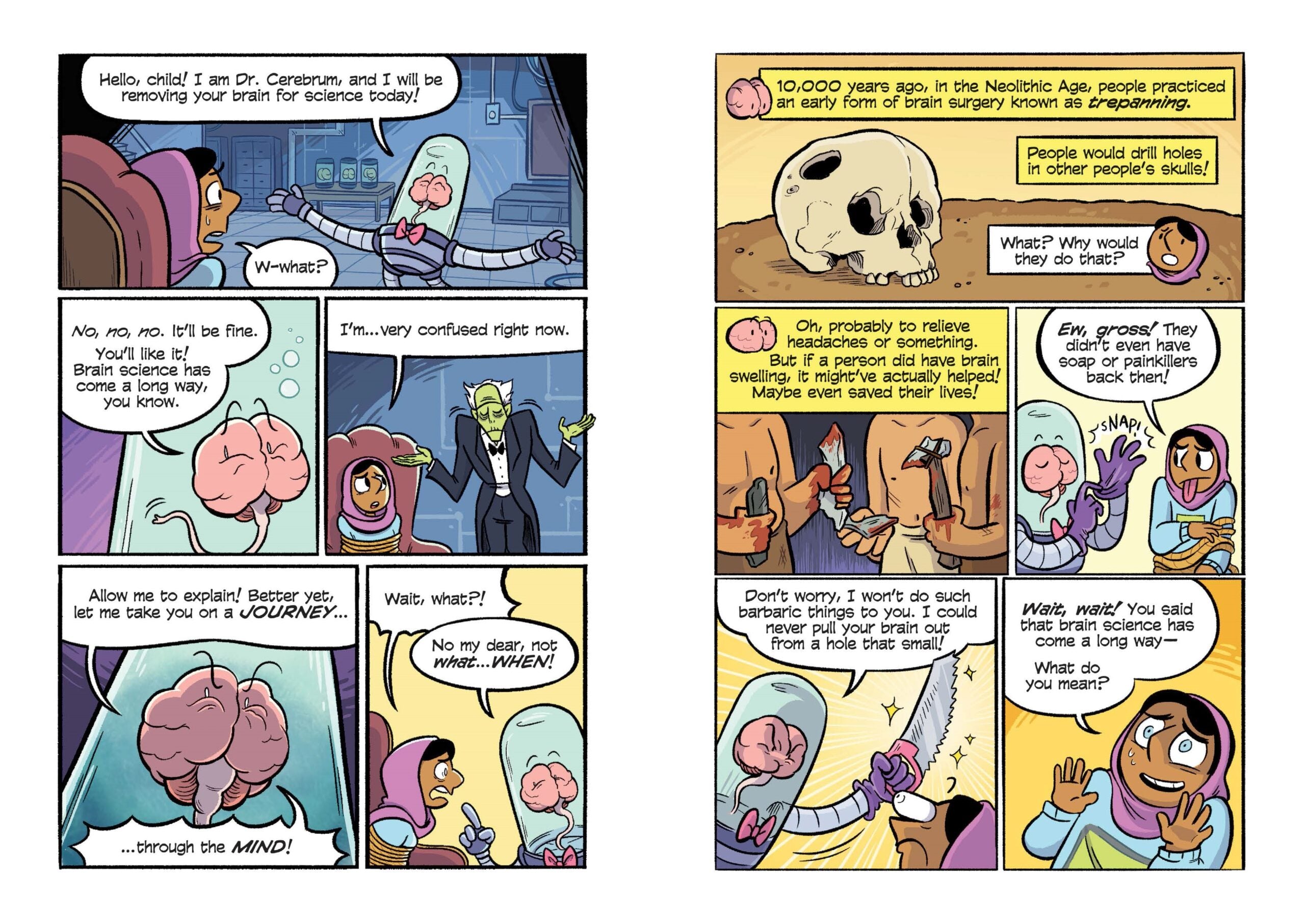 Science Comics: The Brain – A2Z Science & Toys