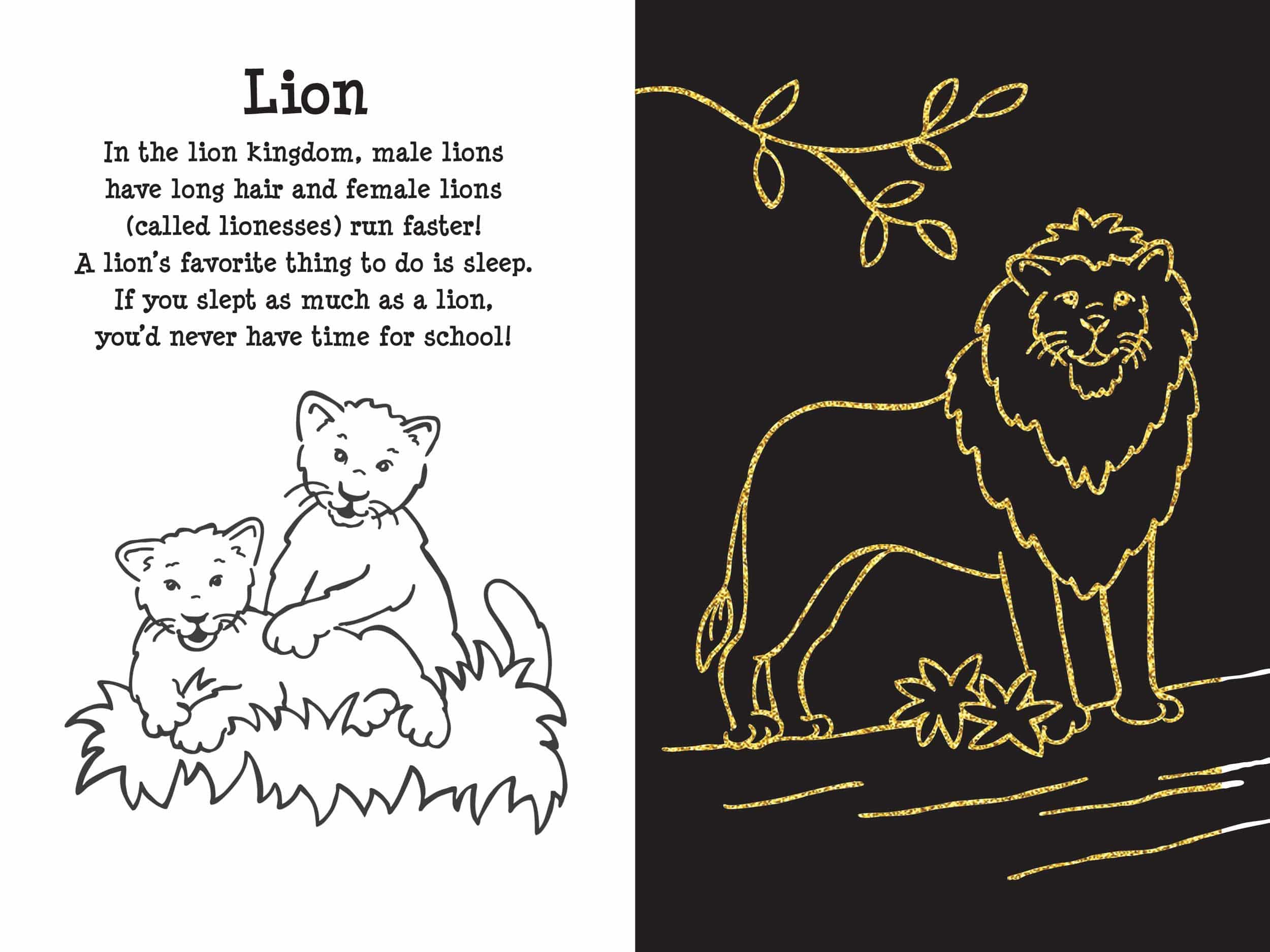 Scratch and Sketch At the Zoo by Peter Pauper Press 3