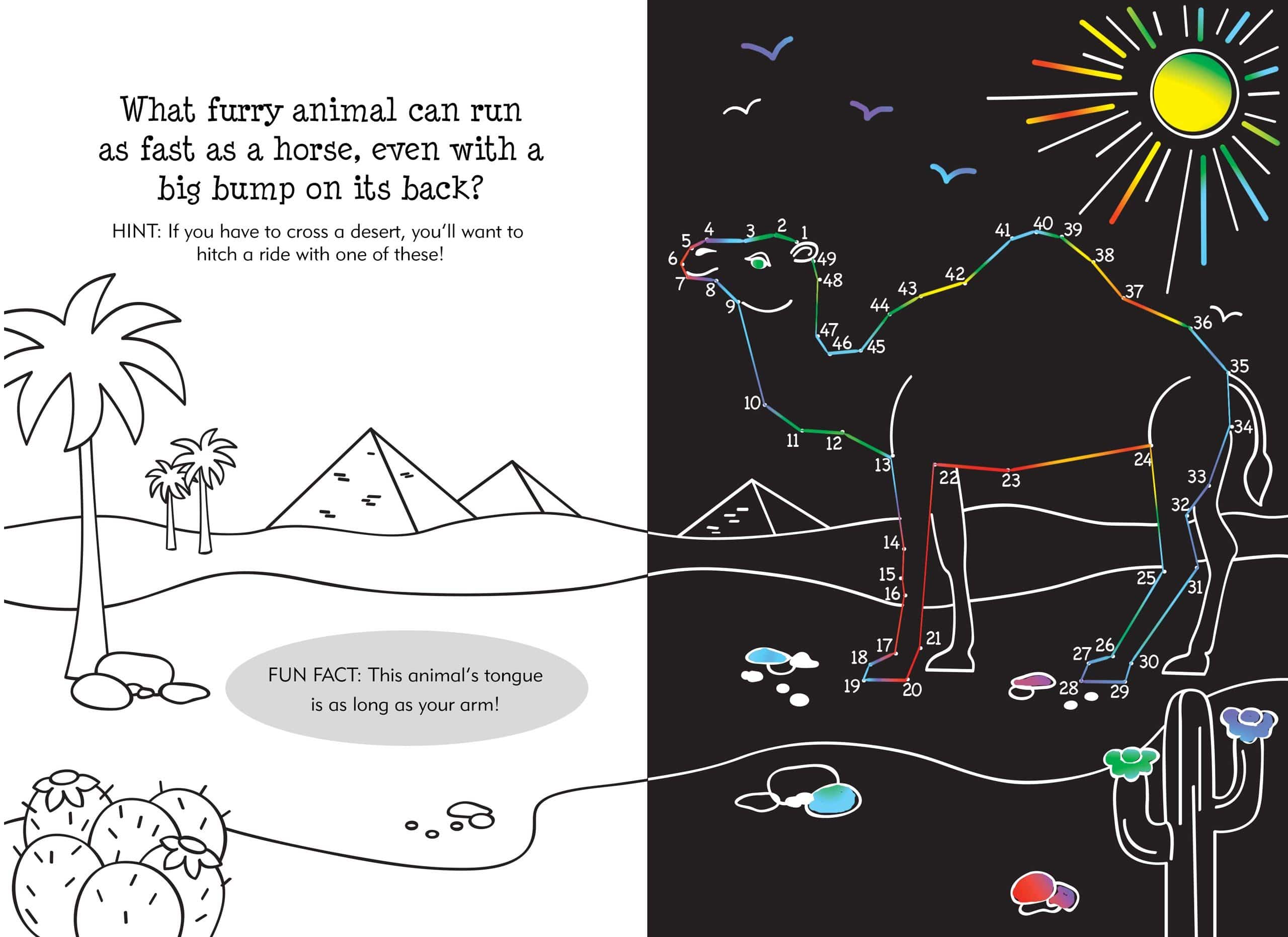 Scratch and Sketch Dot to Dot Animals by Peter Pauper Press 1