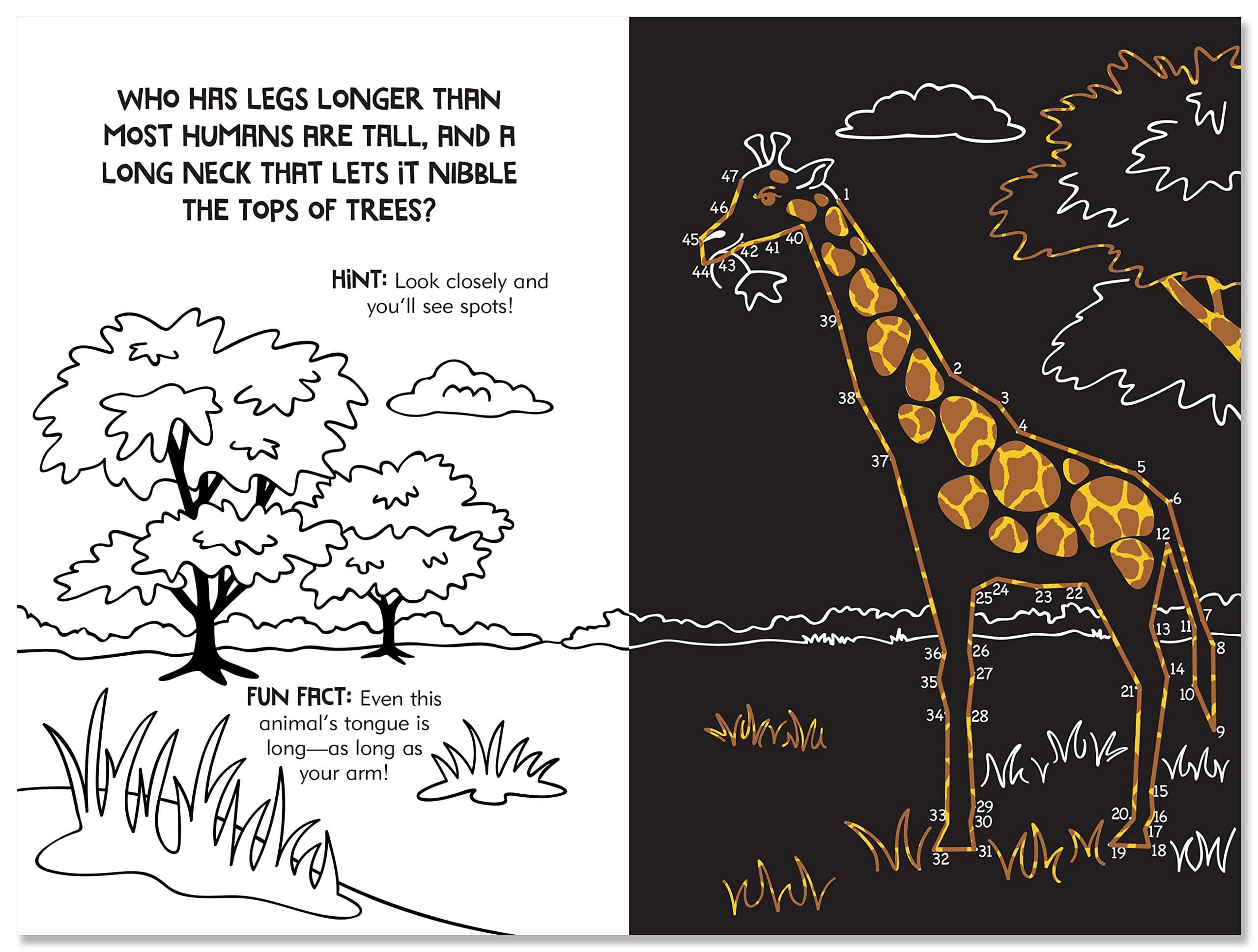 Scratch and Sketch Dot to Dot Animals by Peter Pauper Press 2