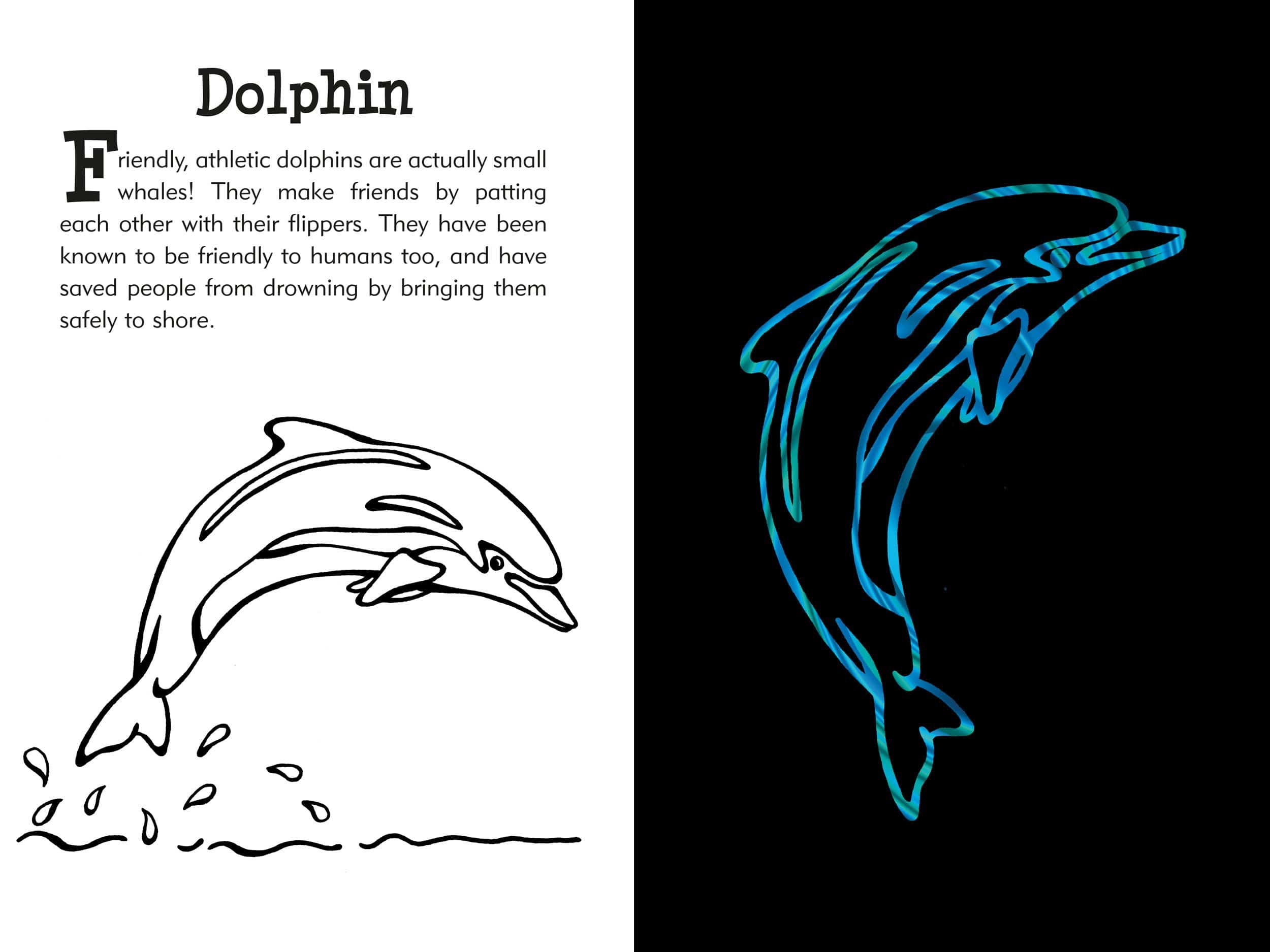 Scratch and Sketch Under the Sea by Peter Pauper Press 1