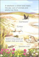 Seashore Usborne Beginners by Usborne 1