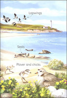 Seashore Usborne Beginners by Usborne 2