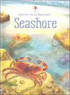 Seashore Usborne Beginners by Usborne