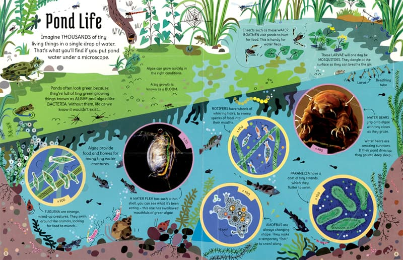 See Inside the Microscopic World by Usborne 2