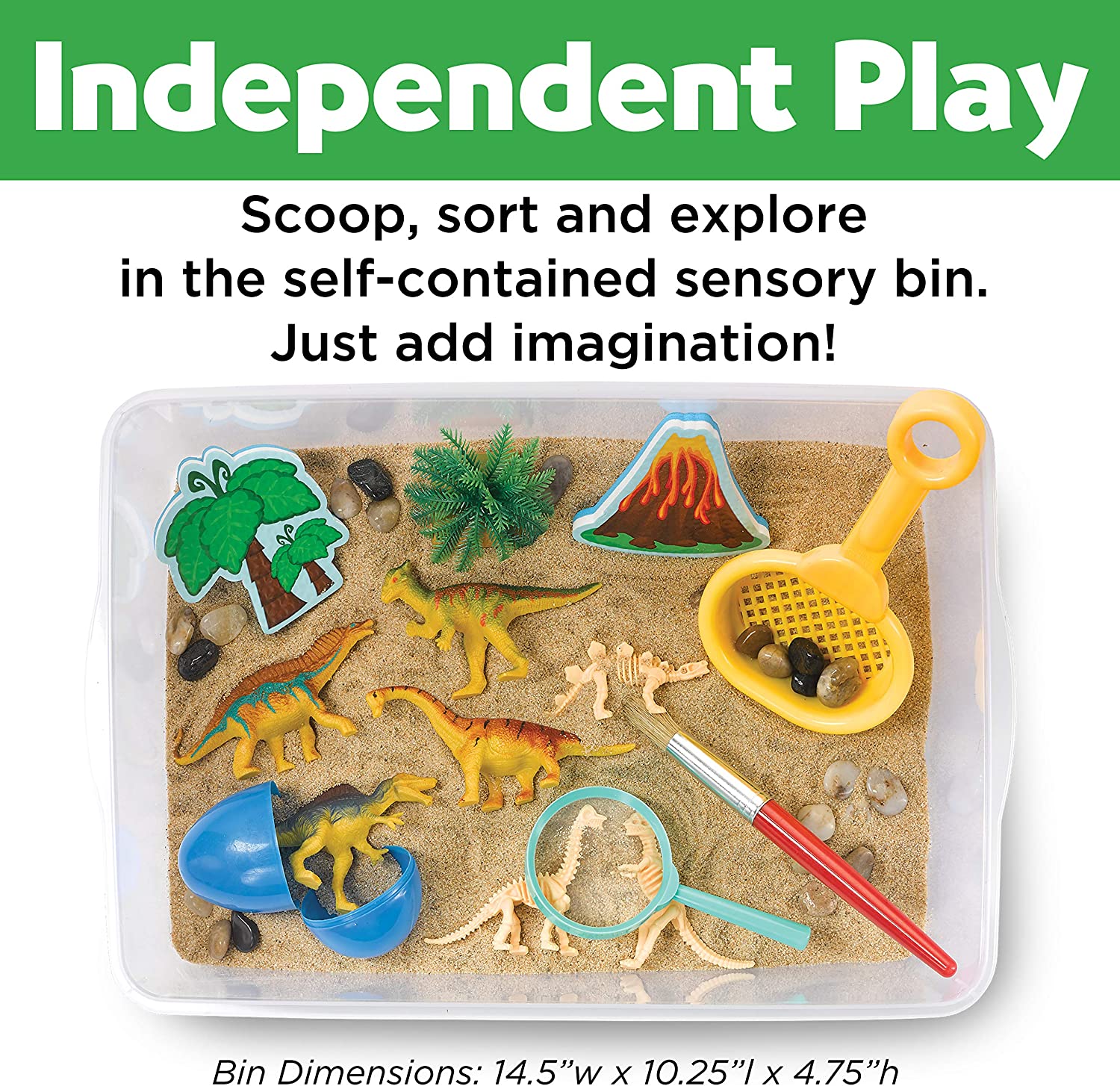 Sensory Bin Dinosaur Dig by Creativity for Kids 4