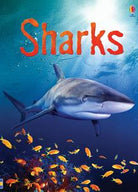 Sharks (Usborne Beginners)-by-Usborne