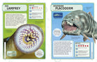 Sharks and Other Deadly Ocean Creatures Visual Encyclopedia by Dorling Kindersley 1