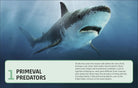 Sharks and Other Deadly Ocean Creatures Visual Encyclopedia by Dorling Kindersley 5