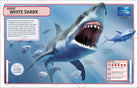 Sharks and Other Deadly Ocean Creatures Visual Encyclopedia by Dorling Kindersley 6
