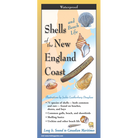 Shells and Beach Life of the New England Coast Folding Guide-by-Earth Sky + Water
