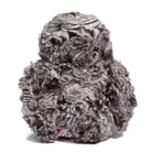 Shrill Saw Whet Owl 7 by Douglas 3