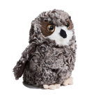 Shrill Saw Whet Owl 7 by Douglas 5