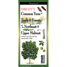 Sibleys Common Trees of Trails Forests of the Northeast Upper Midwest Folding Guide by Earth Sky Water