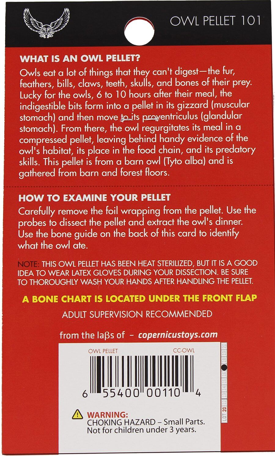 Single Owl Pellet by Copernicus 1