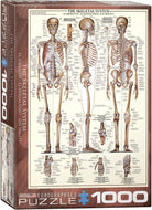 Skeletal System 1000pc Puzzle-by-Eurographics