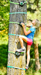 Slackers Tree Climbers by Slackers 2