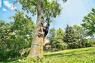 Slackers Tree Climbers by Slackers 3