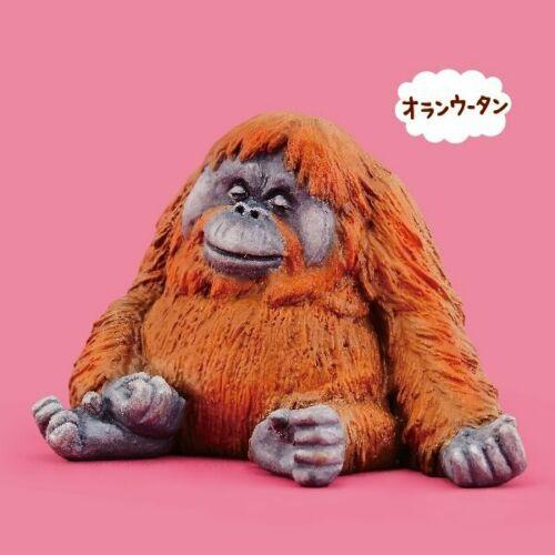 Sleepy Animal Figurines Vol 1 by BC USA 7