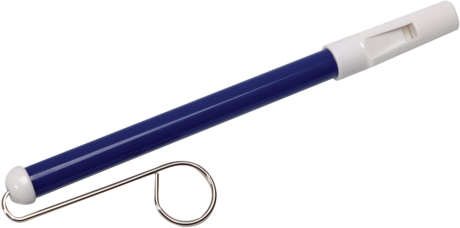 Slide Whistle by Schylling 2