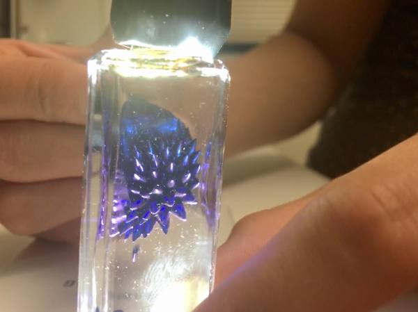 Small Ferro Fluid by Inspired Designs 3