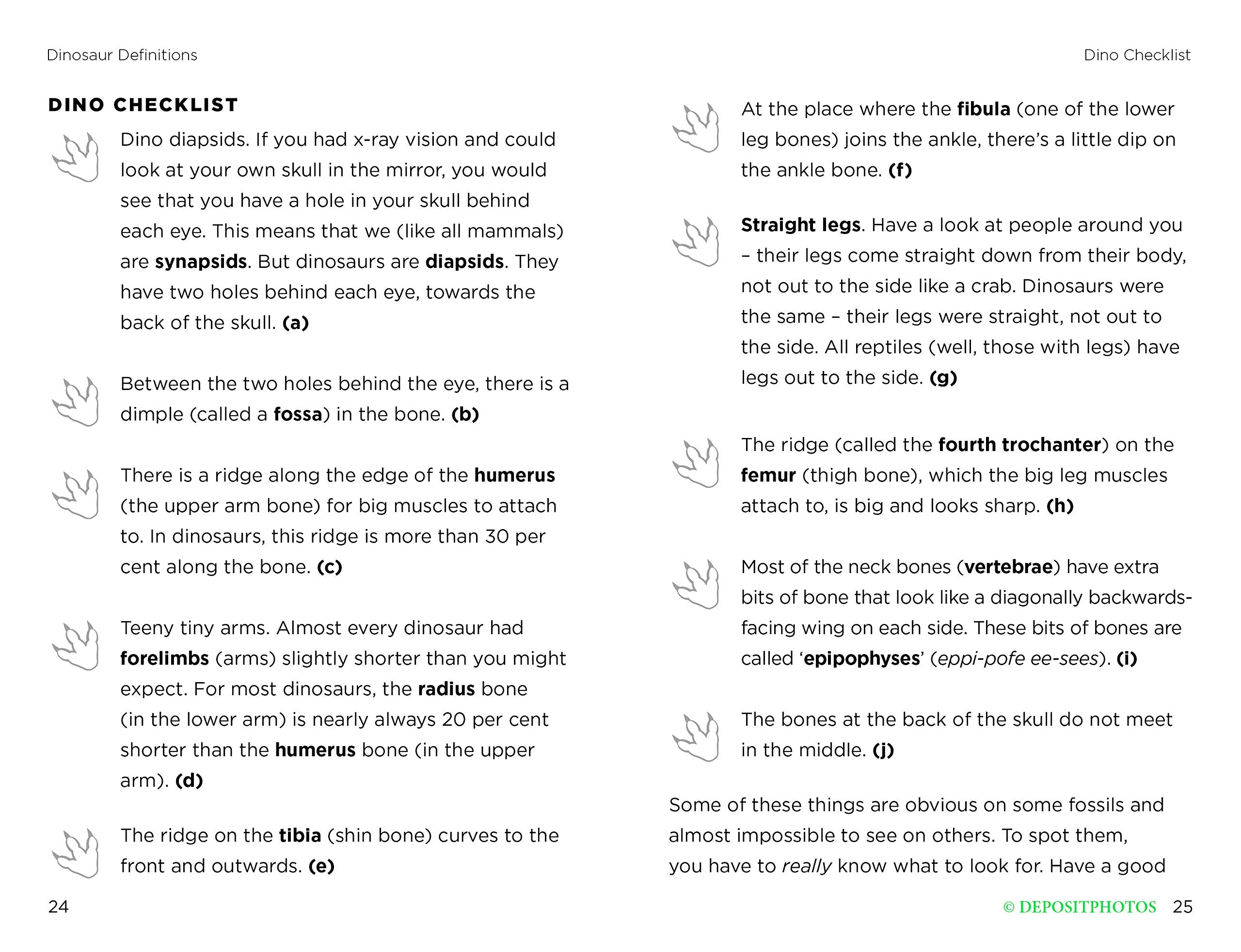 So You Think You Know About… Triceratops by Kane Miller 1