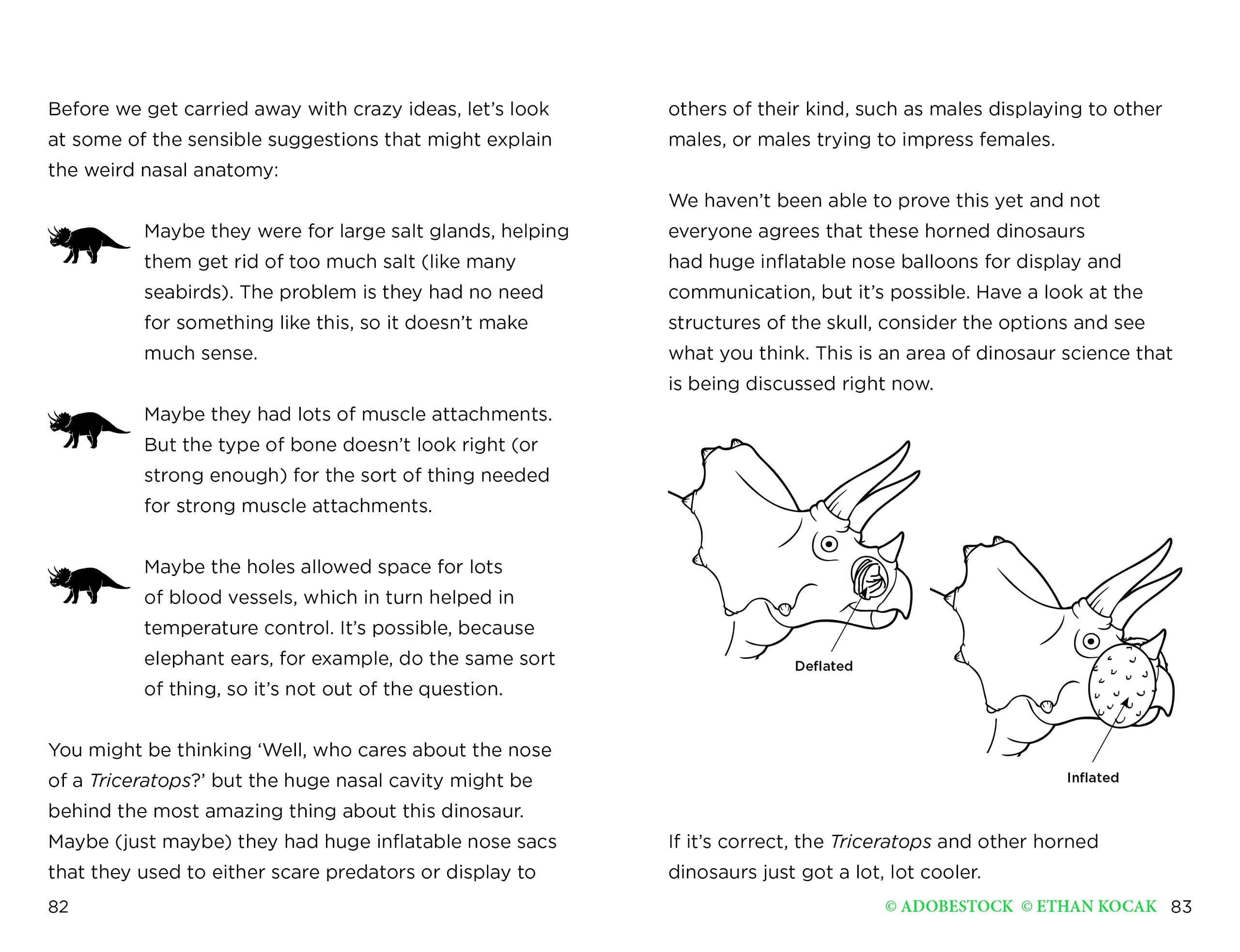 So You Think You Know About… Triceratops by Kane Miller 4