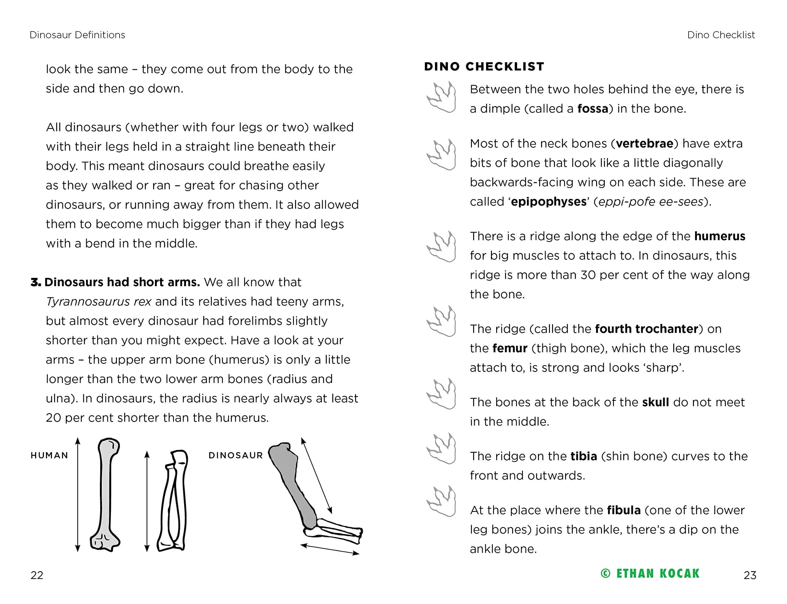 So You Think You Know About… Tyrannosaurus Rex by Kane Miller 2