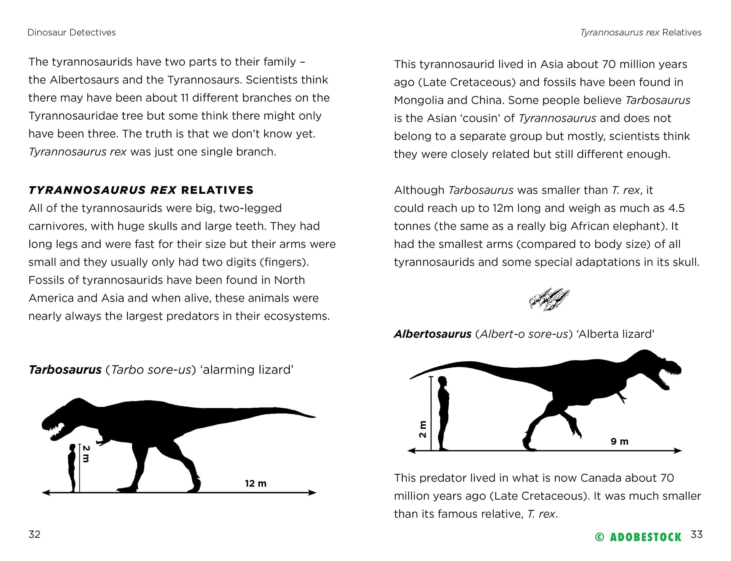 So You Think You Know About… Tyrannosaurus Rex by Kane Miller 3