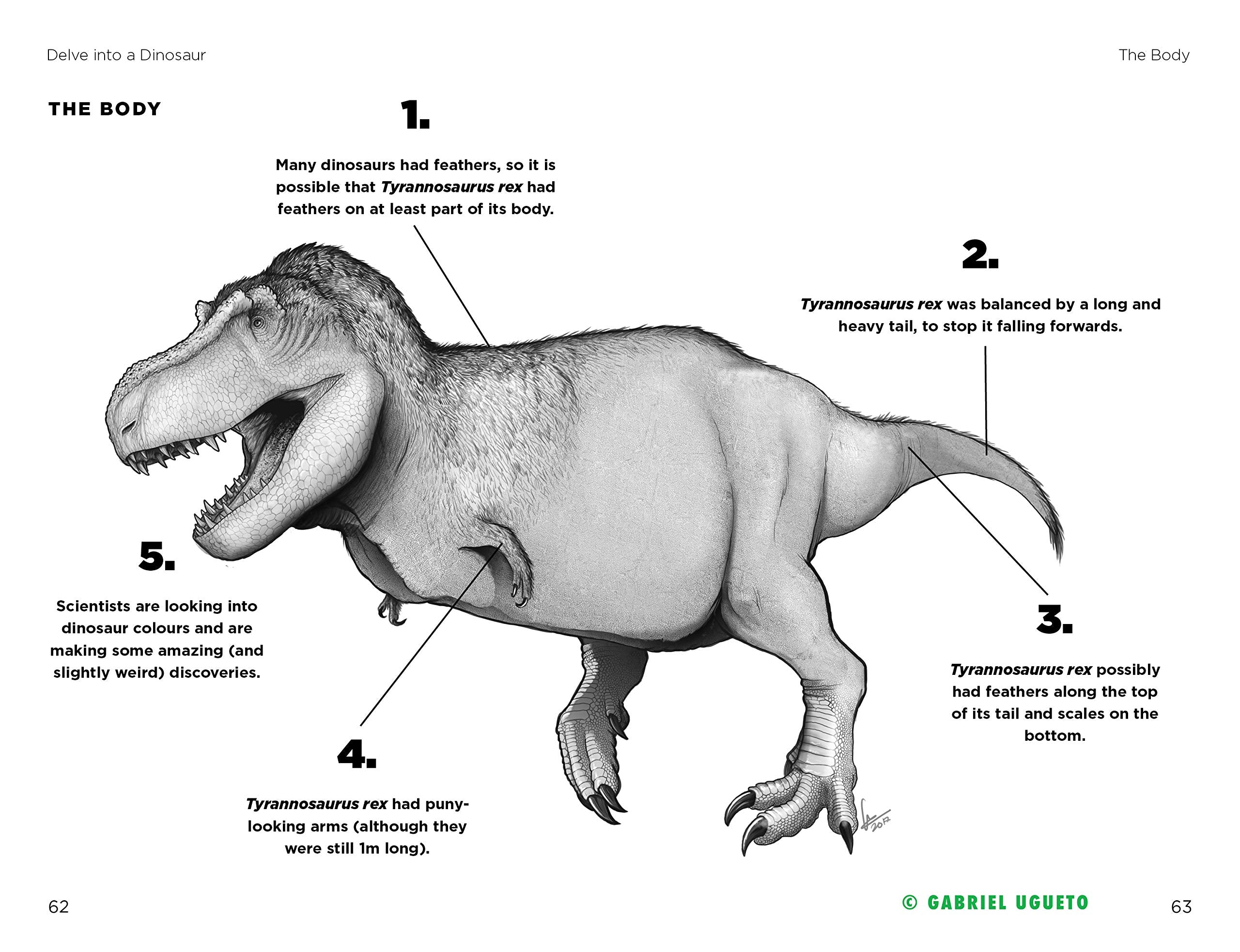 So You Think You Know About… Tyrannosaurus Rex by Kane Miller 4