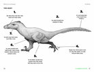 So You Think You Know About… Velociraptor by Kane Miller 4