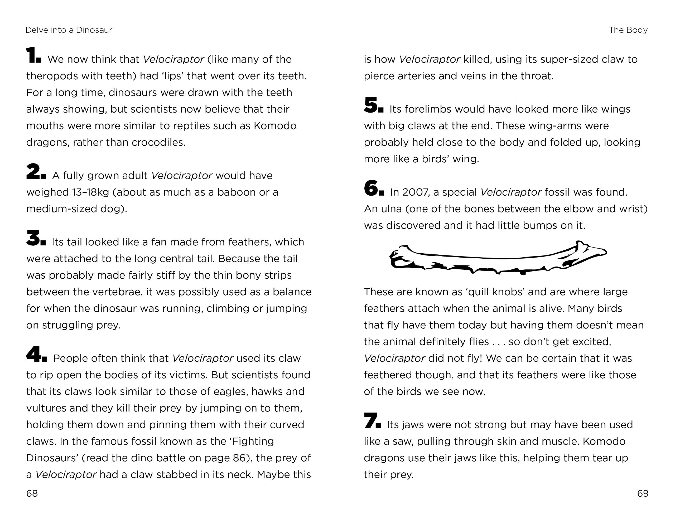 So You Think You Know About… Velociraptor by Kane Miller 5