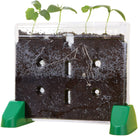 Sprout and Grow Window by Educational Insights 2