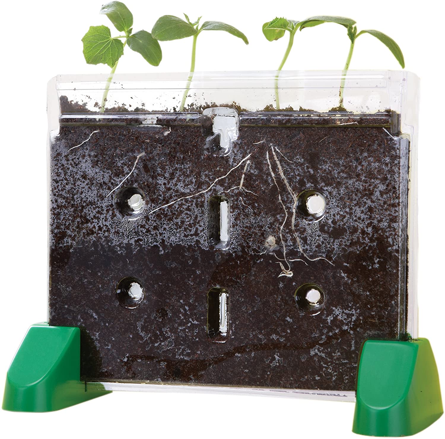 Sprout and Grow Window by Educational Insights 2