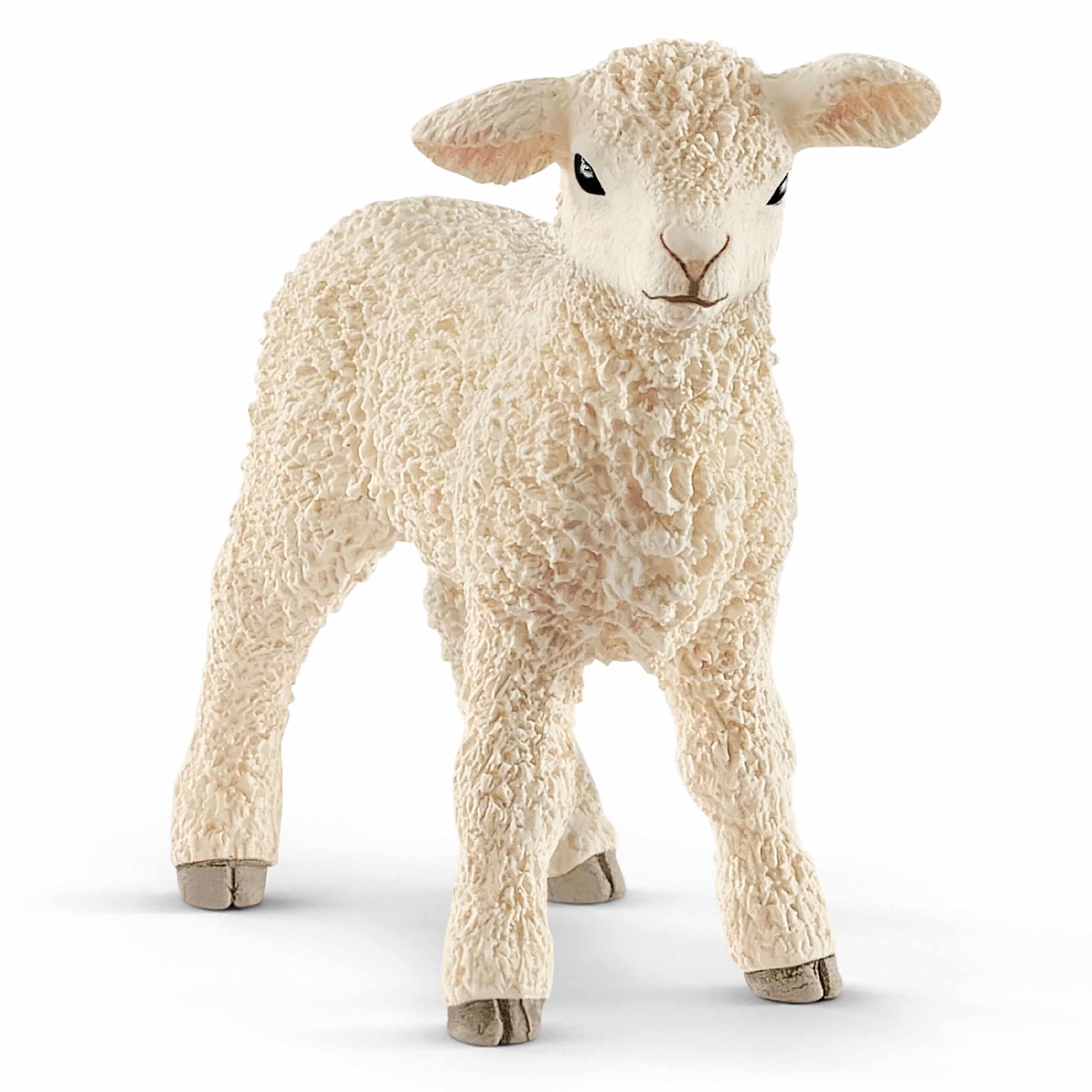 sheep Standing Lamb Figure – A2Z Science & Toys