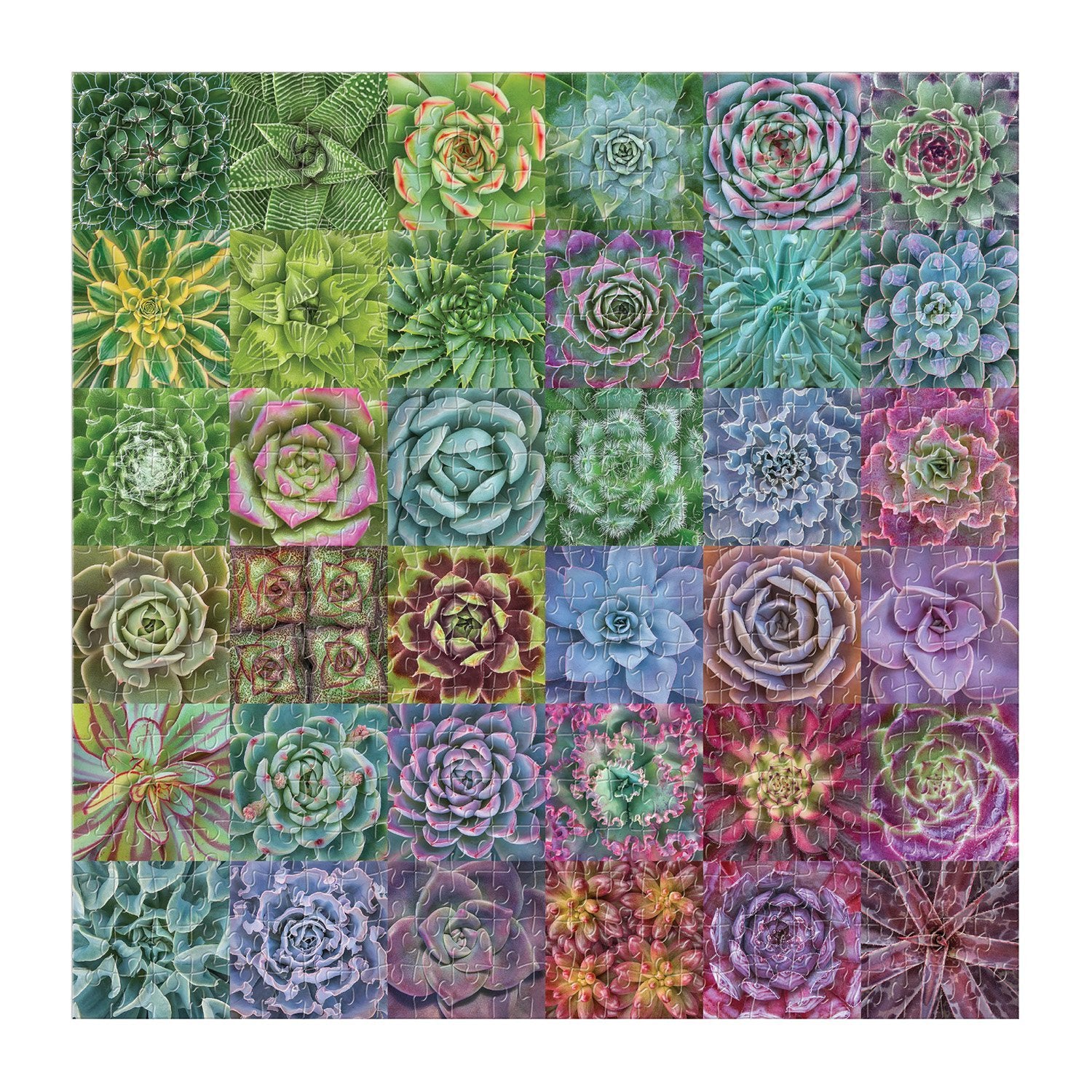 Succulent Spectrum Puzzle by Galison 1