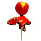 Sun Arrow by Two Bros Bows