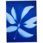 Sun Art Solar Paper Small Kit by TEDCO 2