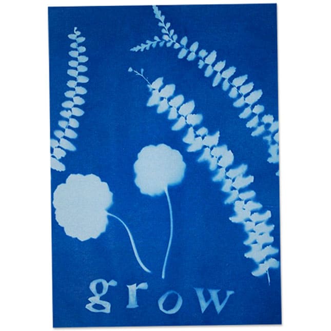 Sun Art Solar Paper Small Kit by TEDCO 3