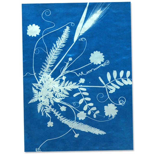 Sun Art Solar Paper Small Kit by TEDCO 4