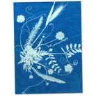 Sun Art Solar Paper Small Kit by TEDCO 4