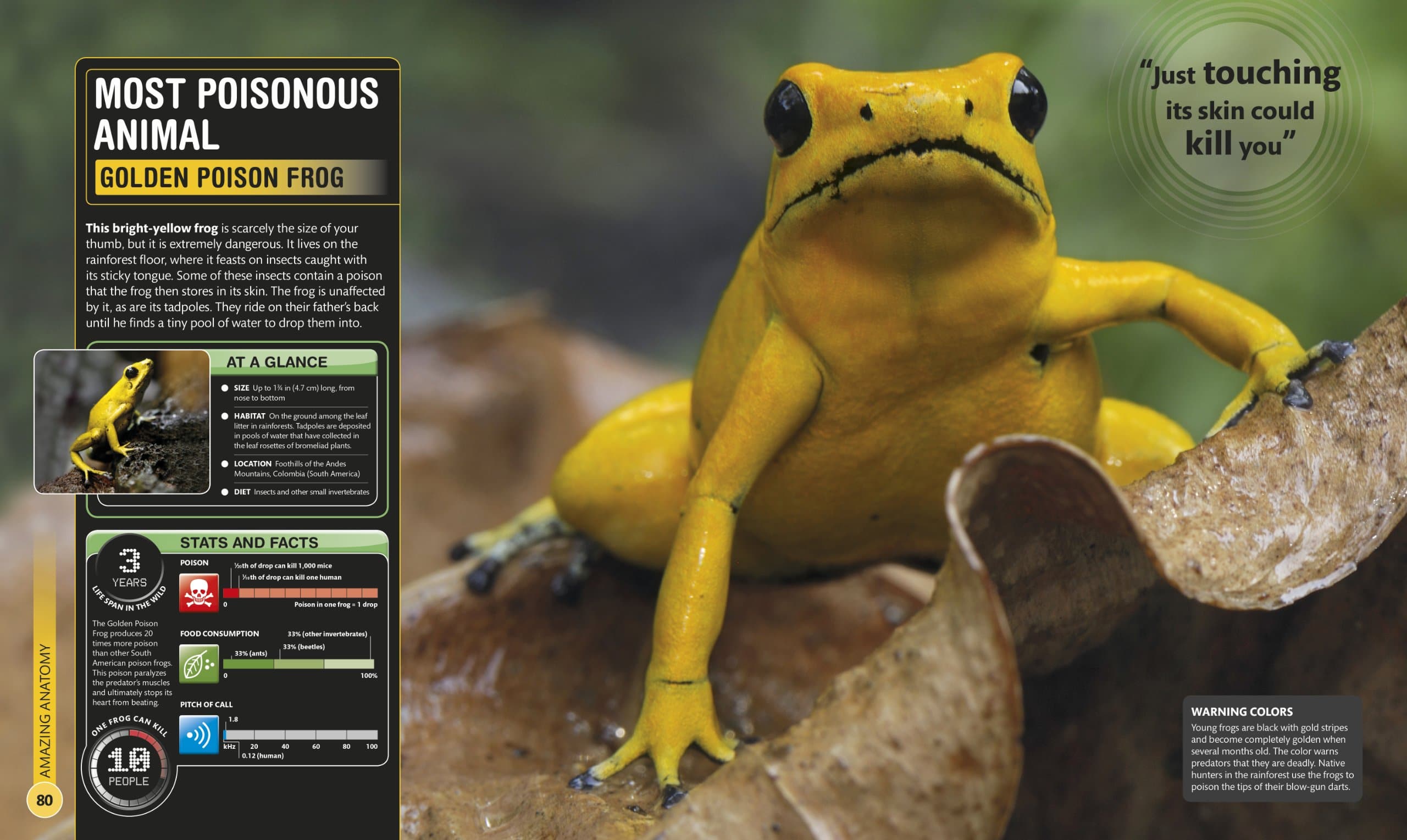 Super Nature Encyclopedia by Dorling Kindersley 2