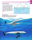 Super Simple Physics The Ultimate Bitesize Study Guide by Dorling Kindersley 10