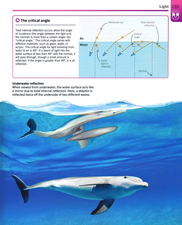 Super Simple Physics The Ultimate Bitesize Study Guide by Dorling Kindersley 10