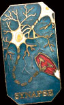 Synapse Pin by WM Spear Designs