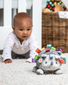 Taggies Hedgehog by Mary Meyer 1