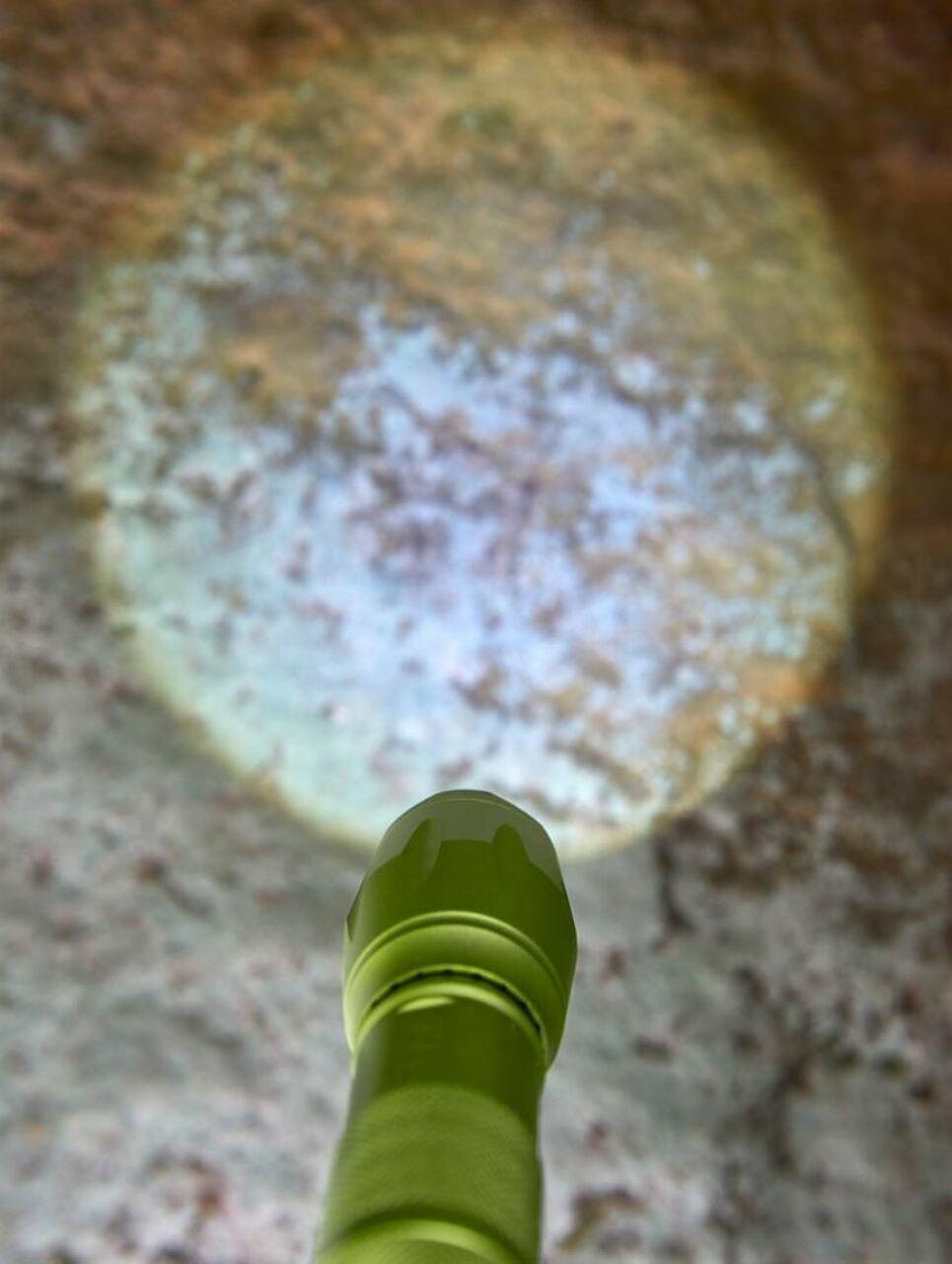 Terra Kids Flashlight by Haba 2