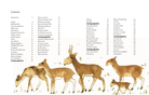 The Atlas of Migrating Plants and Animals by Chronicle Books 1