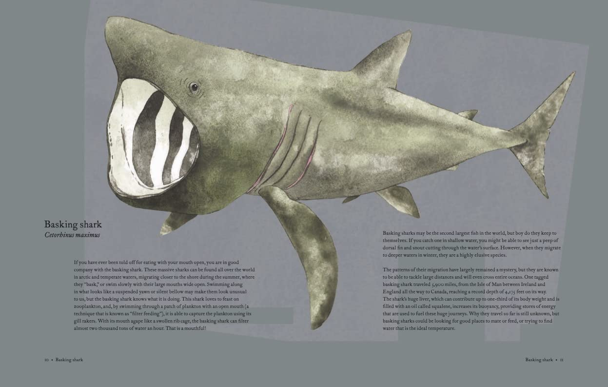 The Atlas of Migrating Plants and Animals by Chronicle Books 3