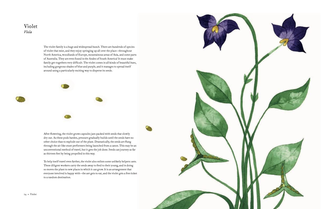 The Atlas of Migrating Plants and Animals by Chronicle Books 5